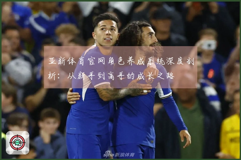 亚新体育官网角色养成系统深度剖析：从新手到高手的成长之路