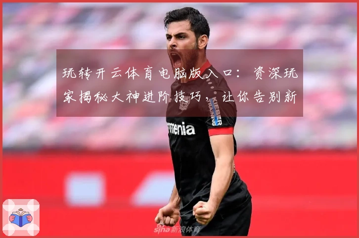 玩转开云体育电脑版入口：资深玩家揭秘大神进阶技巧，让你告别新手期！
