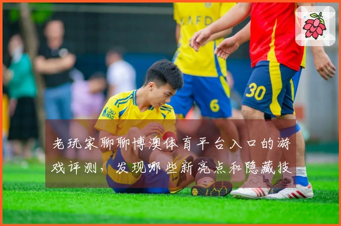 老玩家聊聊博澳体育平台入口的游戏评测，发现哪些新亮点和隐藏技巧？
