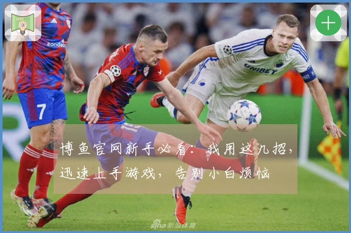 博鱼官网新手必看：我用这几招，迅速上手游戏，告别小白烦恼