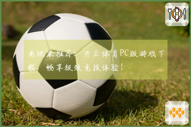 老玩家推荐：开云体育PC版游戏下载，畅享极致竞技体验！